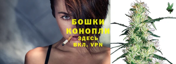 твердый Елабуга
