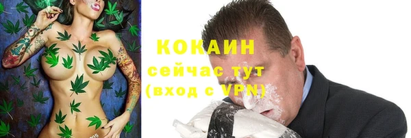 твердый Елабуга