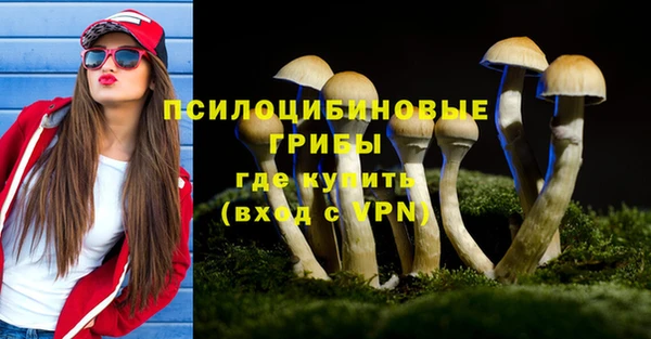 твердый Елабуга