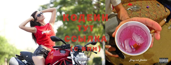 твердый Елабуга